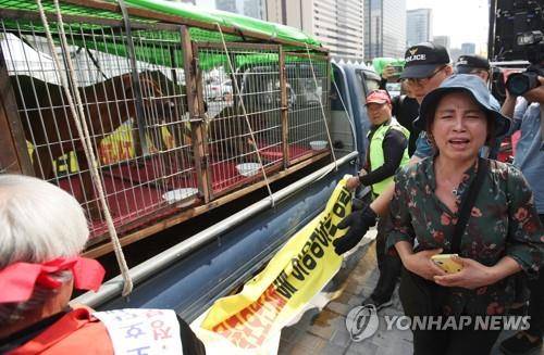 (서울=연합뉴스) 임헌정 기자 = 대한육견협회 회원들이 22일 서울 종로구 세종로공원에서 개고기 합법화 집회를 연 가운데 한 애견인이 울부짖고 있다. 2017.9.22  kane@yna.co.kr  (끝)