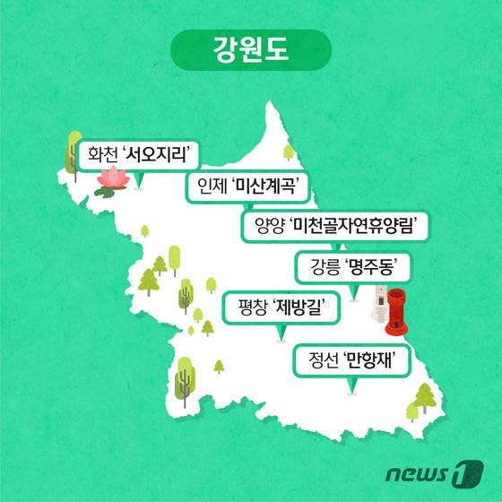 © News1 이은주 디자이너