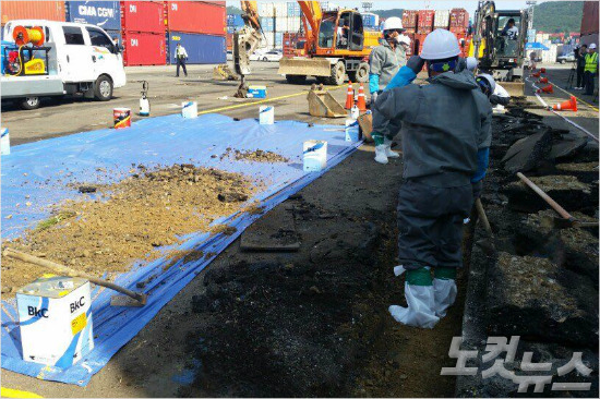 지난달 28일 부산항 감만부두에서 살인 개미로 불리는 붉은 불개미가 발견됐다. 농림축산검역본부와 부산항만공사 등은 곧바로 조사와 방역 작업에 나섰다. (사진=부산항만공사 제공)