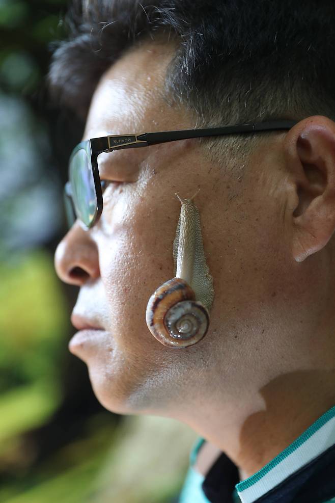 마승현씨의 얼굴에 동양달팽이가 달라붙어 있다. 달팽이의 점액질은 화장품 원료로 사용된다. 우상조 기자