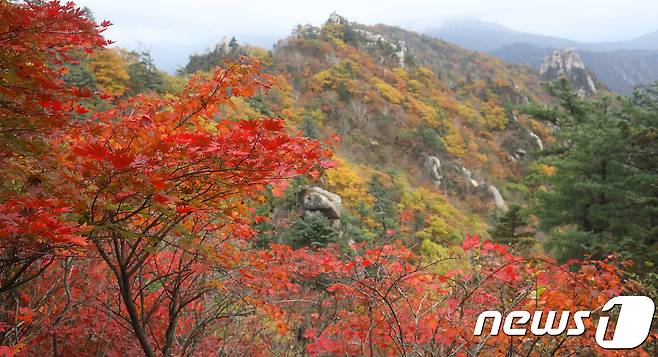 지난 6일 설악산 국립공원 한계령 삼거리 구간에서 바라본 능선이 단풍옷을 갈아입기 시작해 깊어가는 가을을 실감하게 하고 있다. 2017.10.6/뉴스1 © News1 고재교 기자