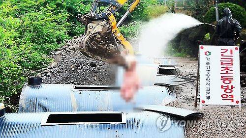 [연합뉴스TV 제공]