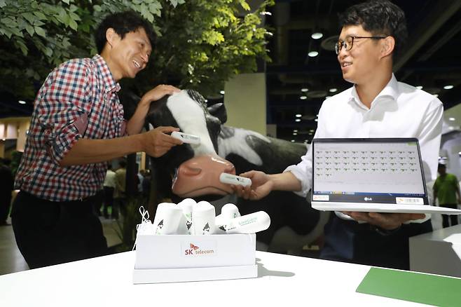 젖소 체내에 바이오 캡슐을 삽입해 실시간 체온 등을 감지해 생체변화를 측정하는 '라이브케어' 시스템을 관계자들이 설명하고 있다. 라이브케어는 농업 IOT 기술을 통해 축우의 생체변화를 실시간 모니터링하는 스마트 서비스다. 우상조 기자