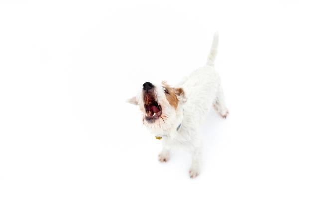 [사진=게티이미지뱅크]