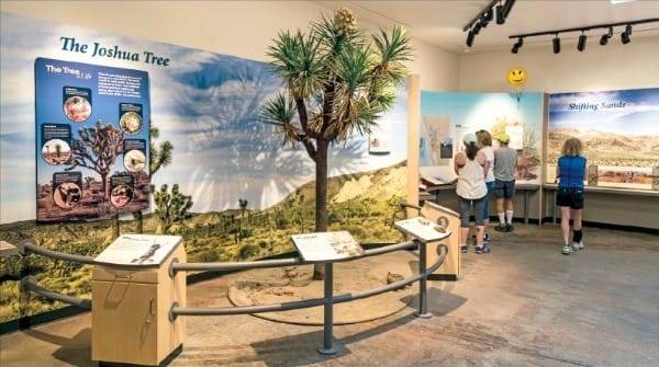 조슈야 트리 국립공원 관련 정보를 얻을 수 있는 방문객 센터.