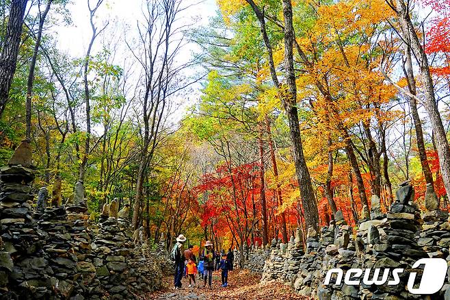 관광공사의 11월 추천 여행지,강릉 노추산 © News1