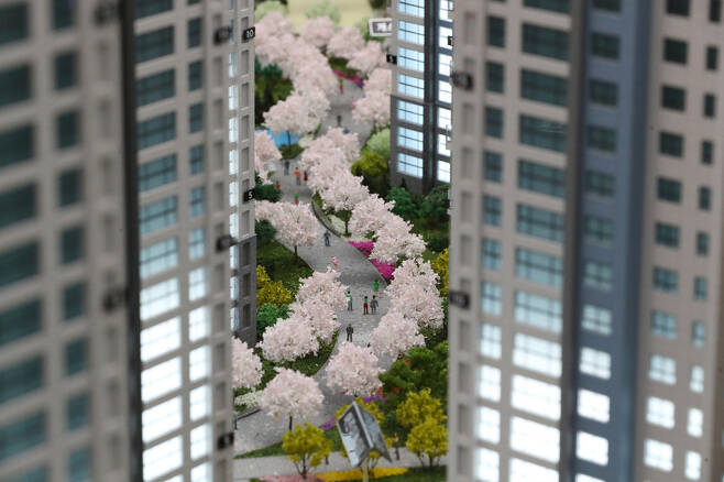 고덕주공7단지 아파트가 헐린 자리에 들어설 새아파트 견본주택에 전시된 단지 모형. 산책로를 따라 심겨진 벚꽃나무 모형이 화사하다.