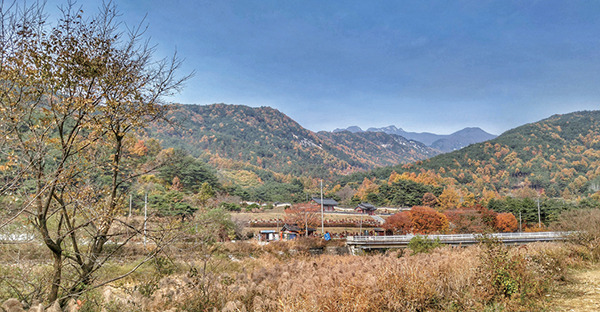 화림동 곡류에 세워진 정자를 중심으로 걷는 선비문화탐방로②