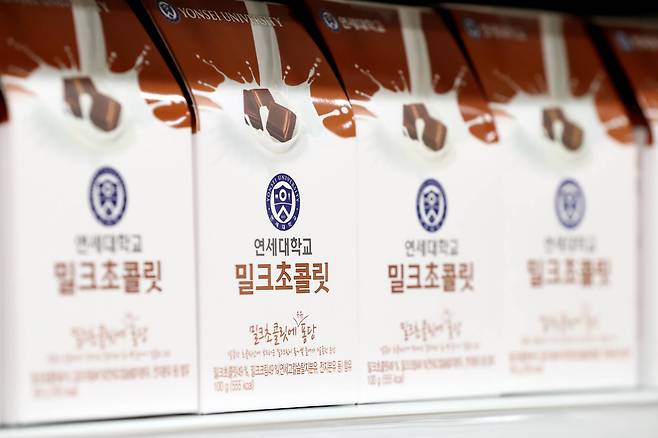연세대 밀크초콜릿. 김경록 기자