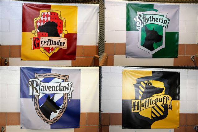 포그와트의 그리핀도르, 슬리데린, 레번클로, 후플푸프 기숙사 깃발이다.