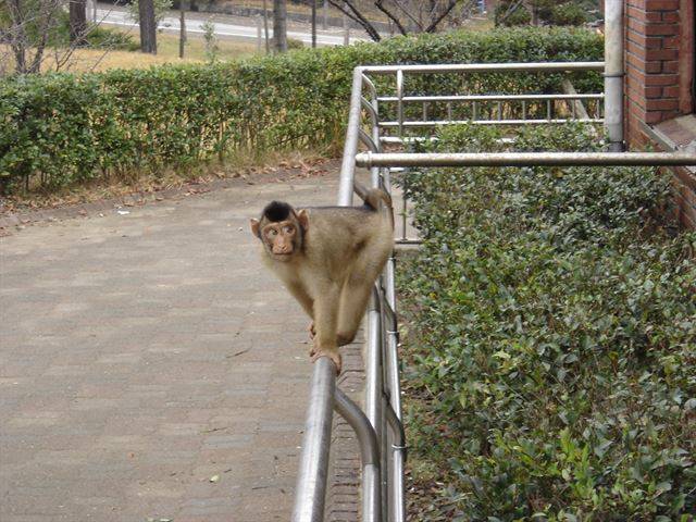 그날 이후 제 삶은 철창 밖으로까지 넓어졌어요