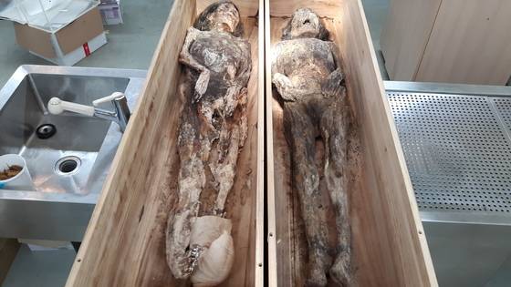 2010년 오산에서 남편 시신과 함께 발견된 첫째 부인(오른쪽)과 둘째 부인 미라. 조선 초기 또는 중기 여성으로 추정된다. [사진 김한겸]