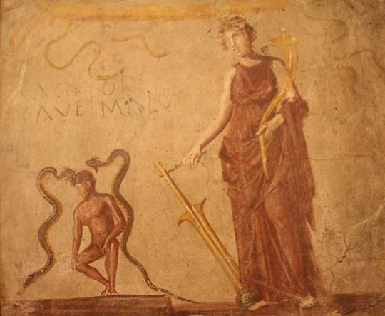 폼페이 건물 벽에 있던 그림에 카베 말룸이라고 쓰여 있다. 나폴리 국립박물관에 보관돼 있다.