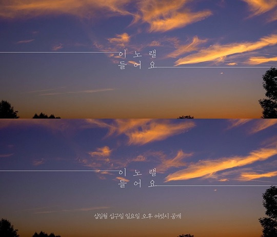 케이시