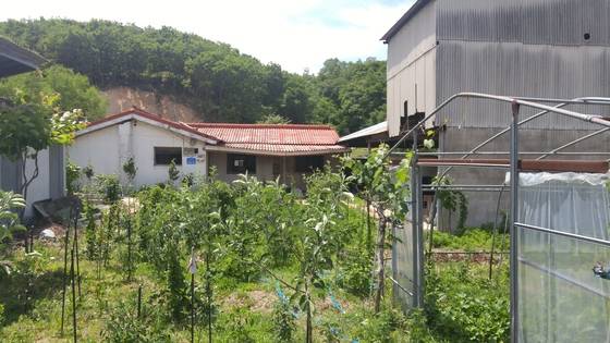 강원도 철원군 근북면 유곡리에는 버려진 채 잡초만 무성한 폐가가 곳곳에 있다.<중앙포토>