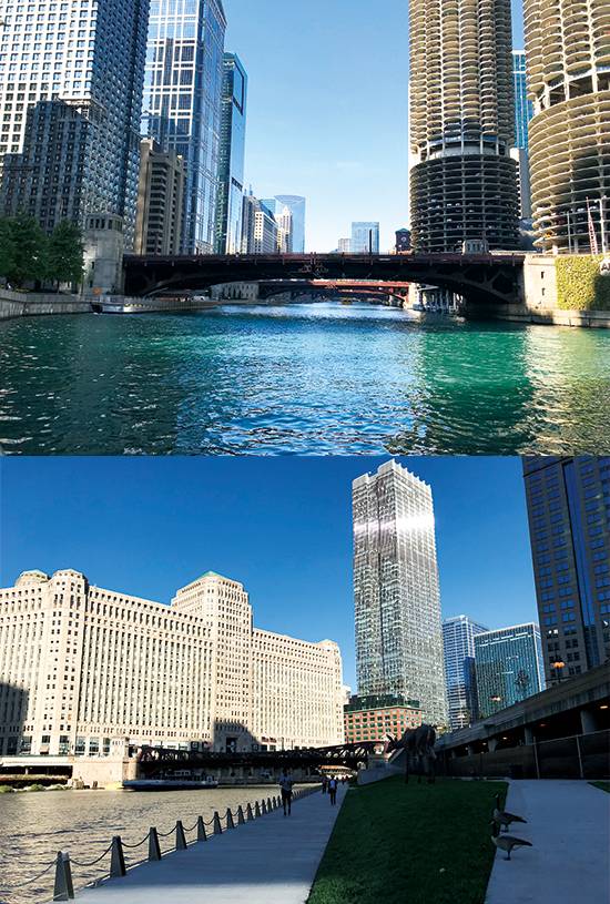 어브컵치넷 브릿지, 머천다이즈 마트