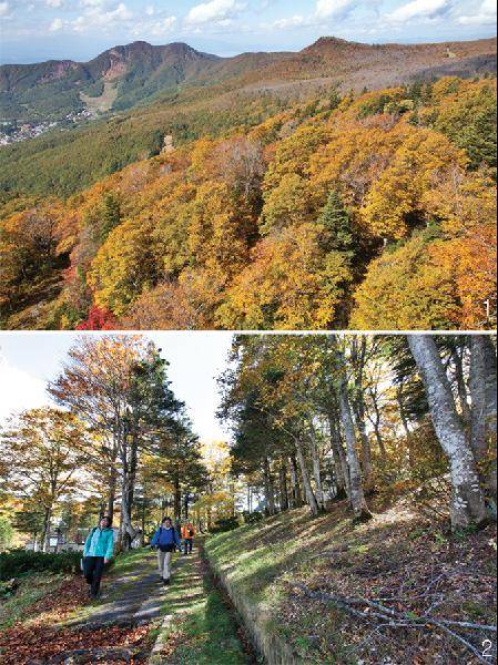 [월간산]1 곤돌라에서 내려다본 자오 산록. 가을빛에 은은하게 빛나고 있다. 2 지조우산쵸우역 중간역 부근의 숲길.