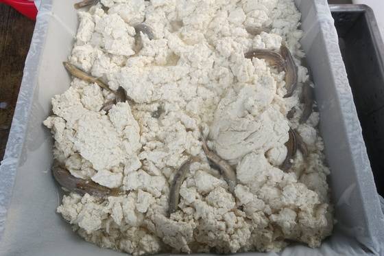 굳히기 위해 두부 틀에 퍼 담은 순두부. 순두부 덩어리 속으로 들어간 미꾸라지는 몇 안 된다.