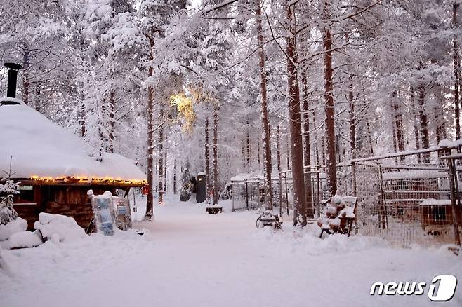 레비의 한 낮 풍경. 하루에 가장 밝은 때이지만 조명은 여전히 켜져 있다.© News1 윤슬빈 기자