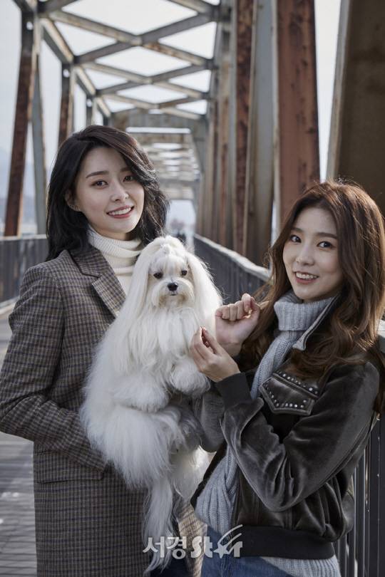 /사진=라이프앤도그