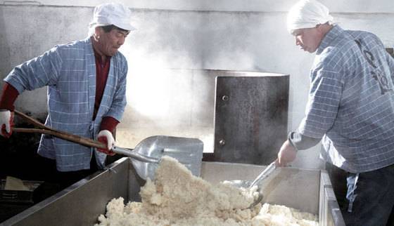 신평양조장에서 직원들이 고두밥을 삽으로 퍼담고 있다. 신평양조장 백련막걸리는 100% 당진쌀로만 만든다. [사진 신평양조장]