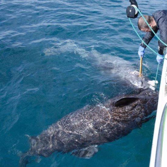 JUNIEL85 인스타그램