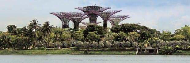 바다를 메워 만든 인공정원 가든스 바이 더 베이의 슈퍼트리.