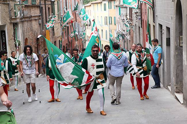 시에나는 축제중
