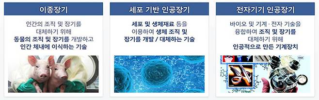 한국과학기술기획평가원 제공