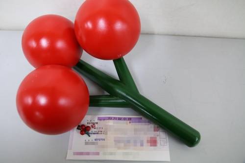 사랑의 열매와 기부 수표 [대구사회복지공동모금회 제공=연합뉴스]