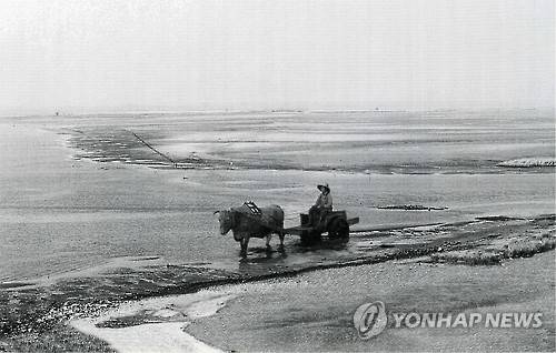 옛 낙동강 하구 모습 [연합뉴스 자료사진]