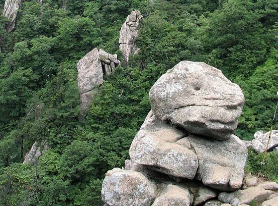 강아지 모양 바위. [사진 김순근]