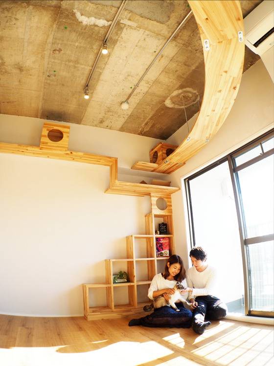 반려묘와 함께 사는 집 [크라운 캣 홈페이지]