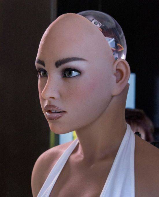 미국 어비스 크리에이션사가 개발한 섹스로봇, '하모니(Harmony)'의 모습(사진=https://realbotix.com/)