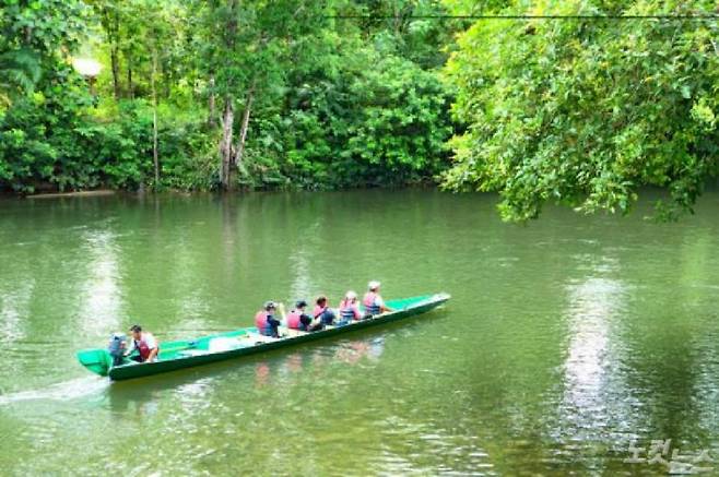 템부롱 국립공원은 ‘생태계의 보고’라고도 불린다. (사진=자유투어 제공)