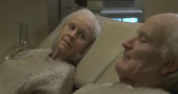 앤드류는 로봇의 삶을 포기하고 인간으로서 죽는다.