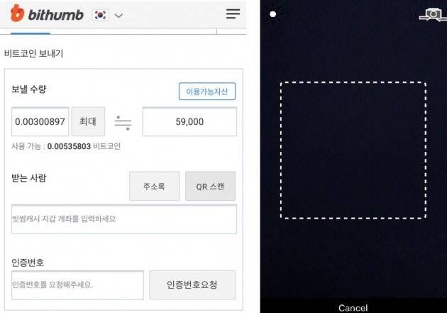 기자가 결제를 시도했다. 오른쪽 검은 화면은 어둡게 가린 것.