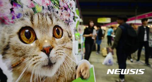 【서울=뉴시스】추상철 기자 = 지난해 4월21일 제1회 국제 캣산업 박람회가 열린 서울 강남구 코엑스에서 관람객이 전시된 고양이 관련 용품을 둘러보고 있다. scchoo@newsis.com