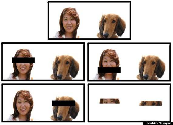 실험에 사용된 5가지 사진. - 사다히코 나카지마 제공