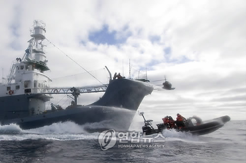 남극양 일본 포경선  유신마루1호로부터 물대포세례를 받고있는 환경단체  시셰퍼드 대원들[EPA=연합뉴스 자료사진]