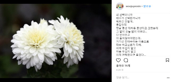 조민아 인스타그램