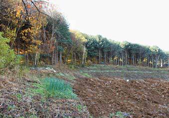 경기도 성남시 수정구 금토동 그린벨트 지역에서 매각 중인 토지.