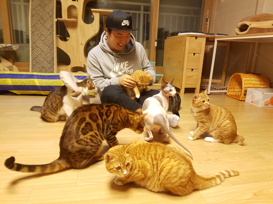몸이 아픈 길고양이와 외국에서 입양한 고양이 12마리를 키우고 있는 이시야마 타츠야(31)씨. 박진호 기자