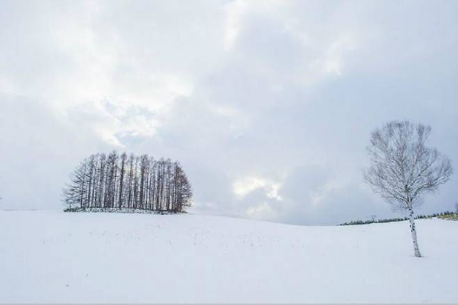 일본의 홋카이도와 큐슈는 상반된 매력으로 겨울여행객들의 마음을 사로잡고 있다(사진=ⒸGettyImagesBank 제공)