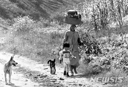 【서울=뉴시스】조수정 기자 = 박신흥 '개네동네' 중 귀로. (사진=갤러리브레송 제공. 사진은 기사 외 사용을 불허합니다.) chocrystal@newsis.com