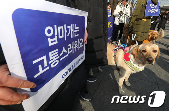 지난 21일 세종로 정부서울청사 앞에서 반려견 단체 회원들이 기자회견을 열고 개 입마개 착용 의무화 철회를 촉구하고 있다. /사진제공= 뉴스1