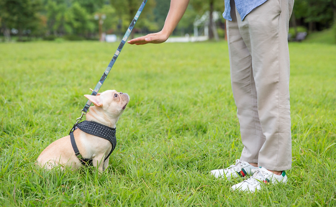 /사진제공= 이미지투데이