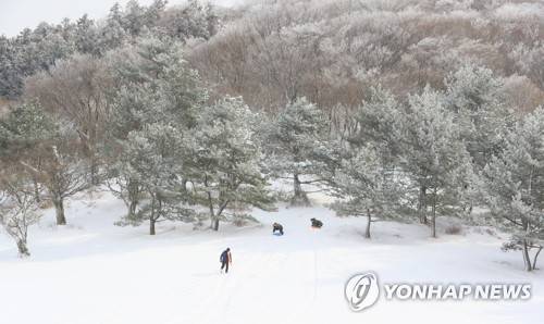 [연합뉴스 자료사진]