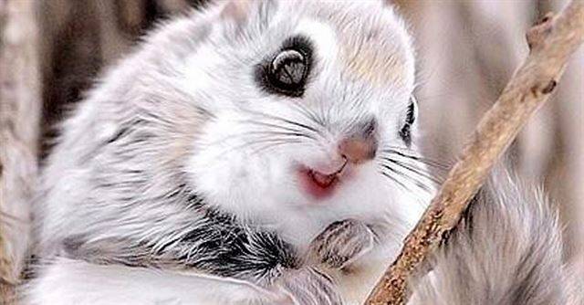 Accenture의 심장 "SON"의 기업 설명회