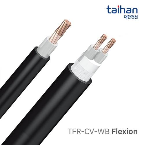 플렉시온 /대한전선 제공